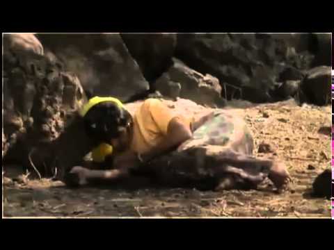 The Boy Who Lived Before - Documentary Erika Jones