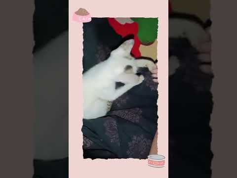 Today playing with my sweet heart 💝