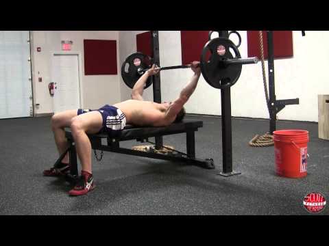 Muscular Strenght Title