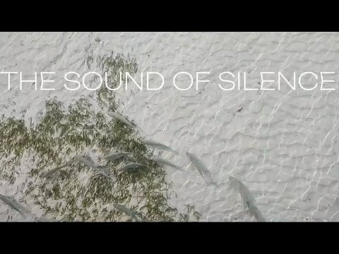 Videos del Cinnamon Hakuraa Huraa Maldives 4★ en Meemu Atoll, MaldivasVer MásVerPrecios20CerrarConsulta por Whatsapp 🇦🇷BookingTripadvisorExpediaAgodaTravelocityOrbitzPricelineTripSkyscannerDespegarKayakHotelesDestiniaTrivagoTurismocityLastminuteHotwireCheapticketsTuiWotif