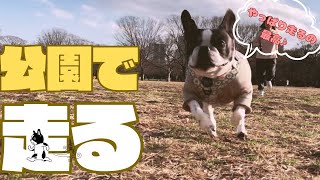 体を動かすと気持ちいね〜♪☺️