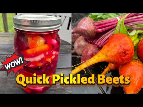 Quick Refrigerator Pickled Beets