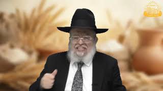 דף היומי בחצי שעה – מסכת מנחות דף צ”א