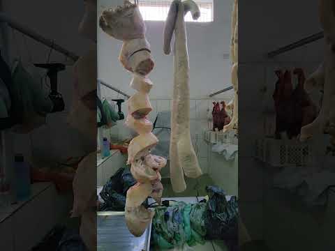 Miudinhos na feira em Lagoa dos Gatos-PE