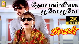 Download lagu Deva Malligai Poove - 2K Video Song | தேவ மல்லிகை பூவே | Nadigan | Sathyaraj | Kushboo | Ilaiyaraaja mp3