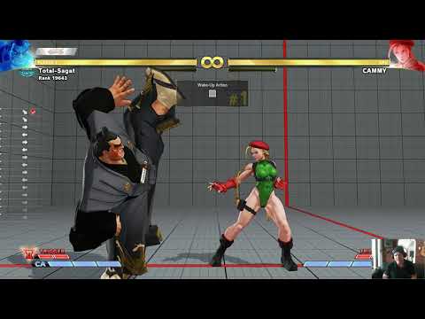 E Honda Basics/Guide and play