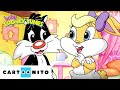 Sylvester S Lightning Surprise Baby Looney Tunes Cartoonito
