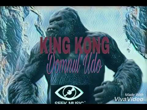 Domnul Udo-KING KONG (Oficial Audio)