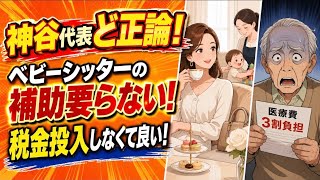 神谷さん正論！ベビーシッター使用の税制優遇など不要！自民党はズレてる！財政難設定どこにいった！？
