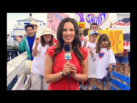 Snuffy The Seal Gets Eaten By A Shark While Returning To The Sea