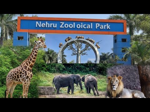 Nehru Zoo. One of the best #travel #zoopark #animals 