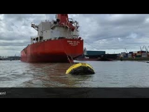 MT GRAN COUVA from Sea to Waalhaven, Port of Rotterdam