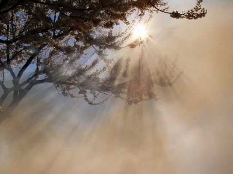 Стала просторней душа - Юра Демидович - Juriy Demodovich