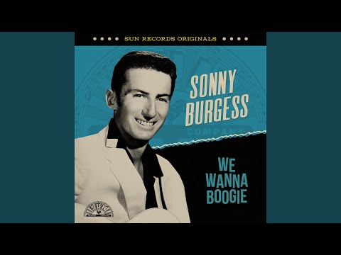 We Wanna Boogie (Remastered 2022)