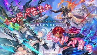 【シャドウバース　ビヨンド】シャドバ生まれ　シャドバ育ち【生放送】