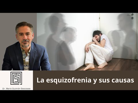 Schizophrenia and its causes