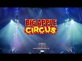 Big Apple Circus 3 X 15 Campaign