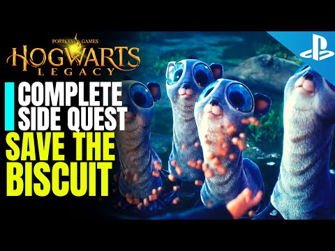 Hogwarts Legacy Side Quest Take The Biscuit Full Walkthrough | How to Rescue Biscuit
