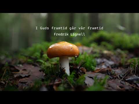 Fredrik Lignell - I Guds framtid går vår framtid