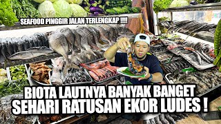 Download lagu SEAFOOD PINGGIR JALAN TERLENGKAP, BIOTA LAUTNYA BANYAK BANGET !! mp3