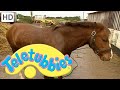 Teletubbies Emily Washing The Pony Full Episode