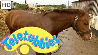 Teletubbies: Emily Washing the Pony - Full Episode