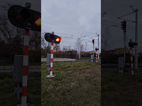 Najbezpieczniejszy przejazd kolejowy w Polsce #1 | stacja Gdańsk Port Północny