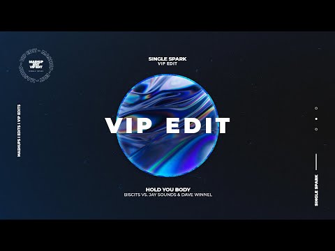 Biscits vs. Jay Sounds & Dave Winnel - Hold You Body (Single Spark Edit)
