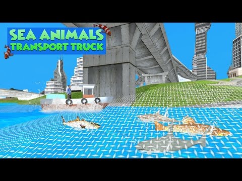Sea Animals Transport Truck Video