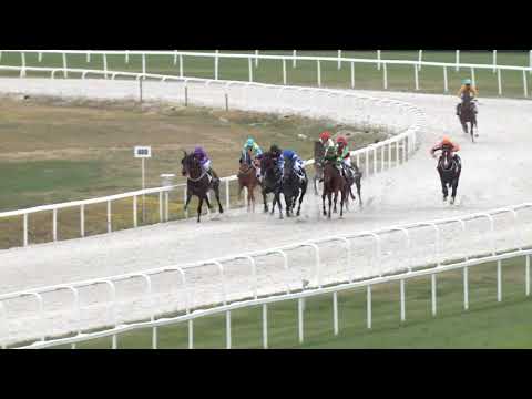 2020.05.31. 06. futam - PÜNKÖSDI HENDIKEP (V/b.) (szintetikus pálya)