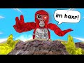 The FUNNIEST Mod Troll Ever Gorilla Tag
