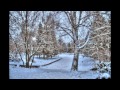 Снег. Зимний пейзаж. Снег в парке. Красивые деревья. Зимние пейзажи Видео 