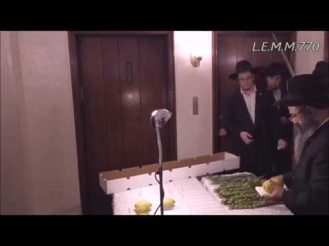 חלוקת ד' מינים לשלוחים ברחבי תבל