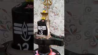 Cobra Visits Temple to Worship Lord Shiva