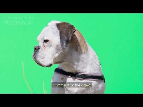 Slum dogs go back to slums Jagmeet Singh said to immigrant||#jagmeetsingh|#ndp #indian