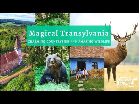 Magical Transylvania Virtual Tour: Countryside and Wildlife