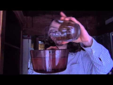 How to prepare Chaga Mushroom Tea | Tea Pursuit