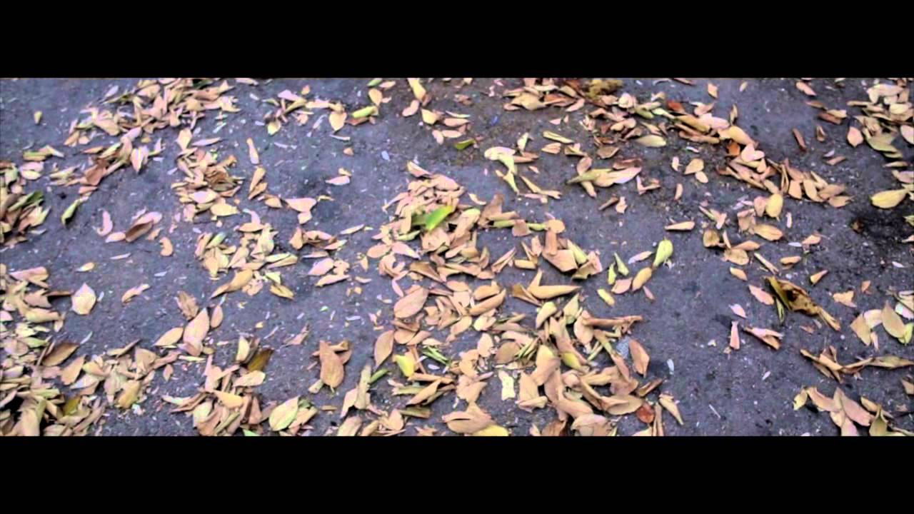 Объектив Samyang 24mm T1.5 ED AS UMC Vdslr Canon EF