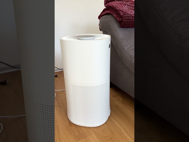 Video Teaser für Ecofort ecoQ CleanAir 600+ Review – Sabrinas Test des Luftreinigers für mehr Wohlbefinden im Winter