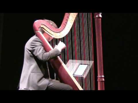 Forgotten Summer - Josh Layne live at the Rio Harp Festival