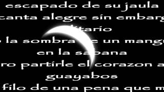Carlos Vives Noche Sin Lucero con letra