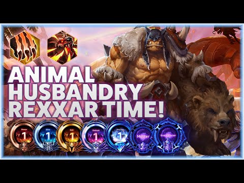 Rexxar Unleash the Boars - ANIMAL HUSBANDRY REXXAR TIME! - B2GM Season 3 2024