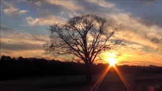 Nick Cave and the Bad Seeds - Push the Sky Away