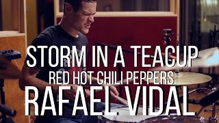 Storm In A Teacup - Red Hot Chili Peppers - Drum Cover - Rafael Vidal