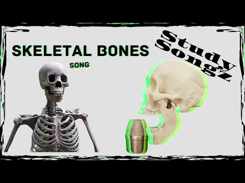 SKELETAL BONES SONG- Study Songz