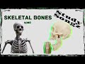 SKELETAL BONES SONG Study Songz