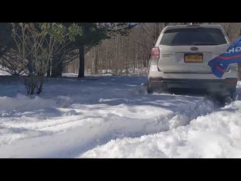 Subaru Forester and Michelin Crossclimate 2