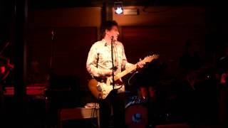 Steve Wynn - Like a Rolling Stone