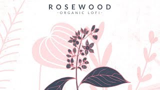 Video thumbnail for Soulful Lofi Hip-Hop - Rosewood - Organic Lofi by Black Octopus Sound