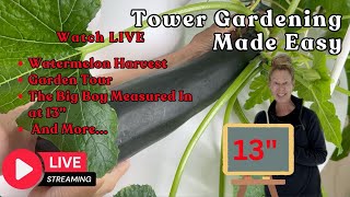 📱 Tower Gardening Made Easy LIVE CAM #towergarden #hydroponicgardening #garden #farm #aeroponic